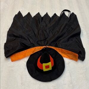 Pet Witch Costume with Hat 15lbs-20lbs Cat or Dog​